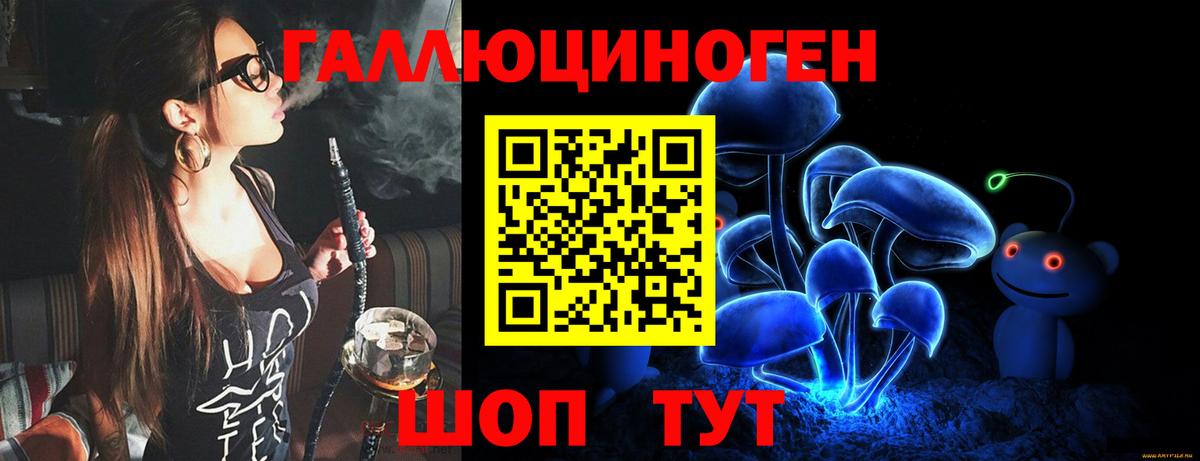 Избербаш  Псилоцибиновые грибы прущие грибы  Вход с VPN 
