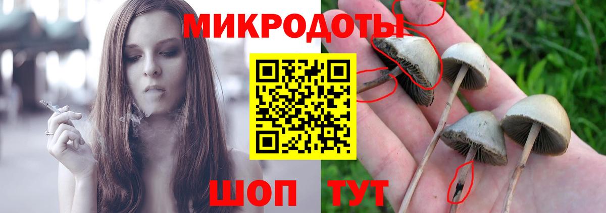 Галлюциногенные грибы GOLDEN TEACHER Избербаш